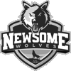 Partner school logo 25