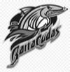 Partner school logo 31