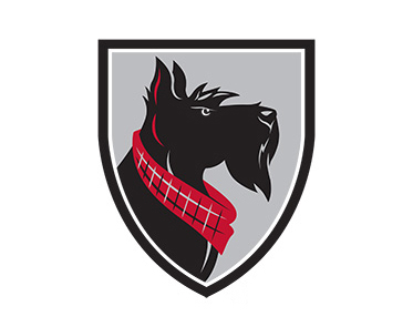 Carnegie Mellon University logo
